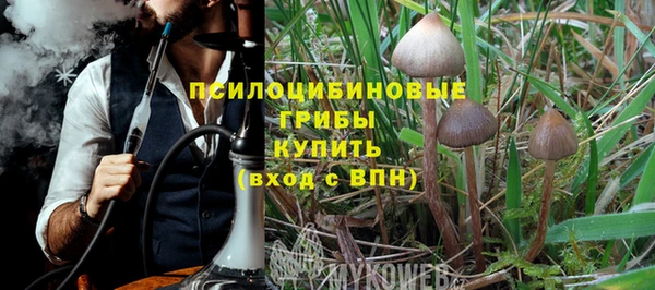 индика Алексеевка