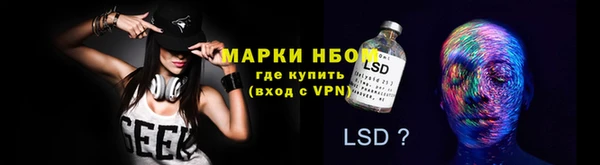 прущие грибы Абдулино