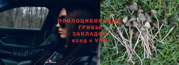 индика Алексеевка