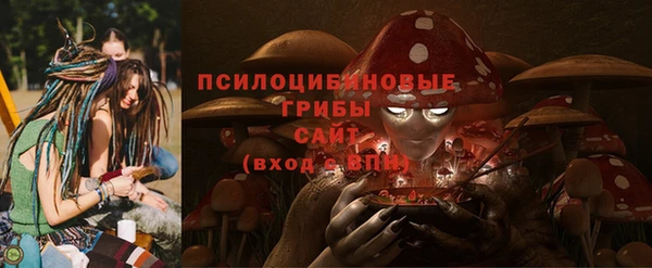 шишки Абинск