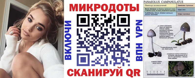 Галлюциногенные грибы Psilocybine cubensis  Барыш 