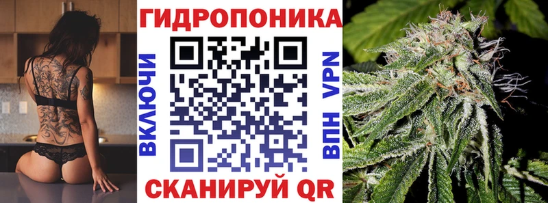Бошки Шишки гибрид  Барыш 